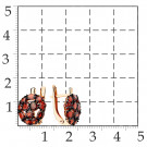 Серьги классические из золота с гранатом