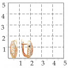Серьги классические из золота без вставок