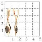 Серьги классические из золота с раухтопазом